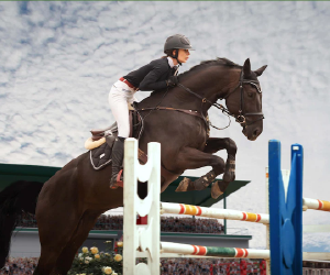 Equestrian